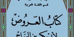محمد بن ابراهيم بن عبدالله الأنصاري، ابن السراج