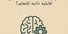 هل يملك الذكاء الاصطناعي قابلية ذاتية للتعلم؟